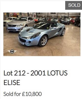 Elise.jpg
